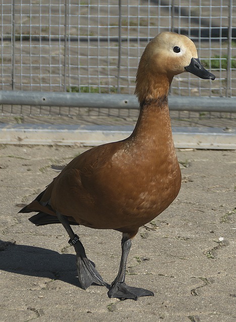 以及对时间