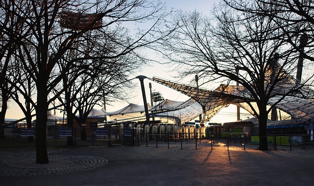 但因缺乏提 但因缺乏提